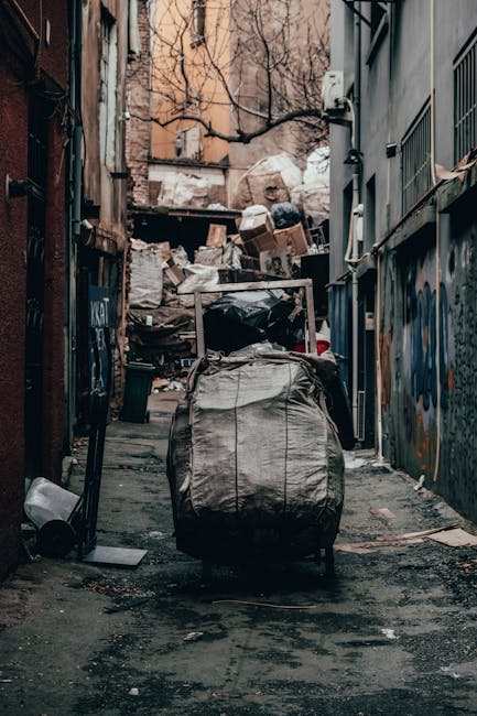 A cluttered urban alleyway filled with discarded waste, featuring large black refuse bags and a wheeled shopping trolley in the foreground. Behind the trolley, uneven pavement and scattered debris stretch towards a pile of boxes, plastic bags, and miscellaneous rubbish stacked against a back wall, which is partially obscured by overgrown tree branches and a worn, weathered building facade. On the right side, a narrow alley flanked by graffiti-covered walls and metal fencing extends into the distance, with utility meters and pipes attached to the building exterior. The scene is illuminated by soft, diffuse natural light, highlighting the disorderly arrangement of waste materials typical of private rubbish collection or on-site clearance, associated with alternative waste management services like those provided by Waste Collection Enfield.