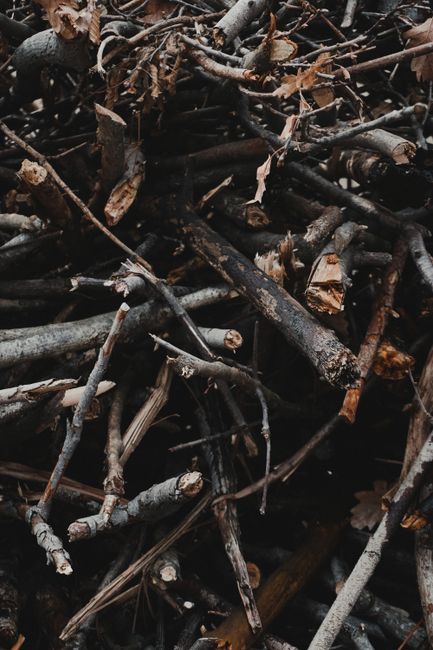 A close-up view of a pile of garden waste consisting of partly decomposed fallen oak and other tree leaves, sticks, and small branches. The leaves are primarily shades of brown and orange, with some showing signs of decay, and they vary in shape from broad and lobed to more slender. The twigs and branches are dark brown or grey, some with rough textures and patches of moss or lichen. The leaves and branches are layered unevenly, creating a natural, cluttered appearance typical of garden clearance or compostable waste. The background shows more organic debris, with damp soil or mulch visible underneath. The overall scene reflects a typical collection of autumn garden refuse prepared for removal or composting, naturally lit with soft, diffuse lighting. This image could represent waste collection services focused on garden debris, such as those provided by Waste Collection Enfield, emphasizing their operations for on-site clearance of organic garden waste.